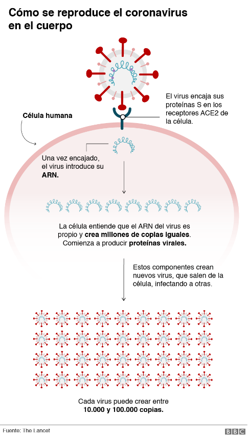 Coronavirus